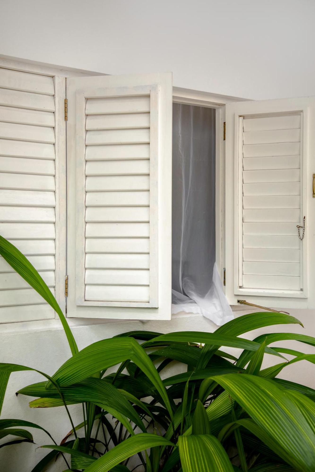 Lf Jungle Retreat Hotel Drapers Екстериор снимка